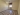 3 camera.jpg